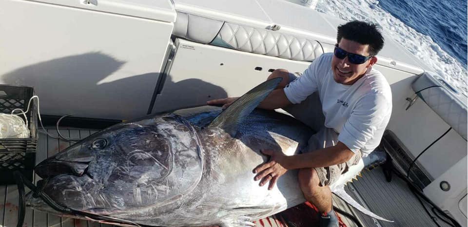 800 Lb Bluefin Tuna Caught Off Boca Raton Florida - Helpful Captain